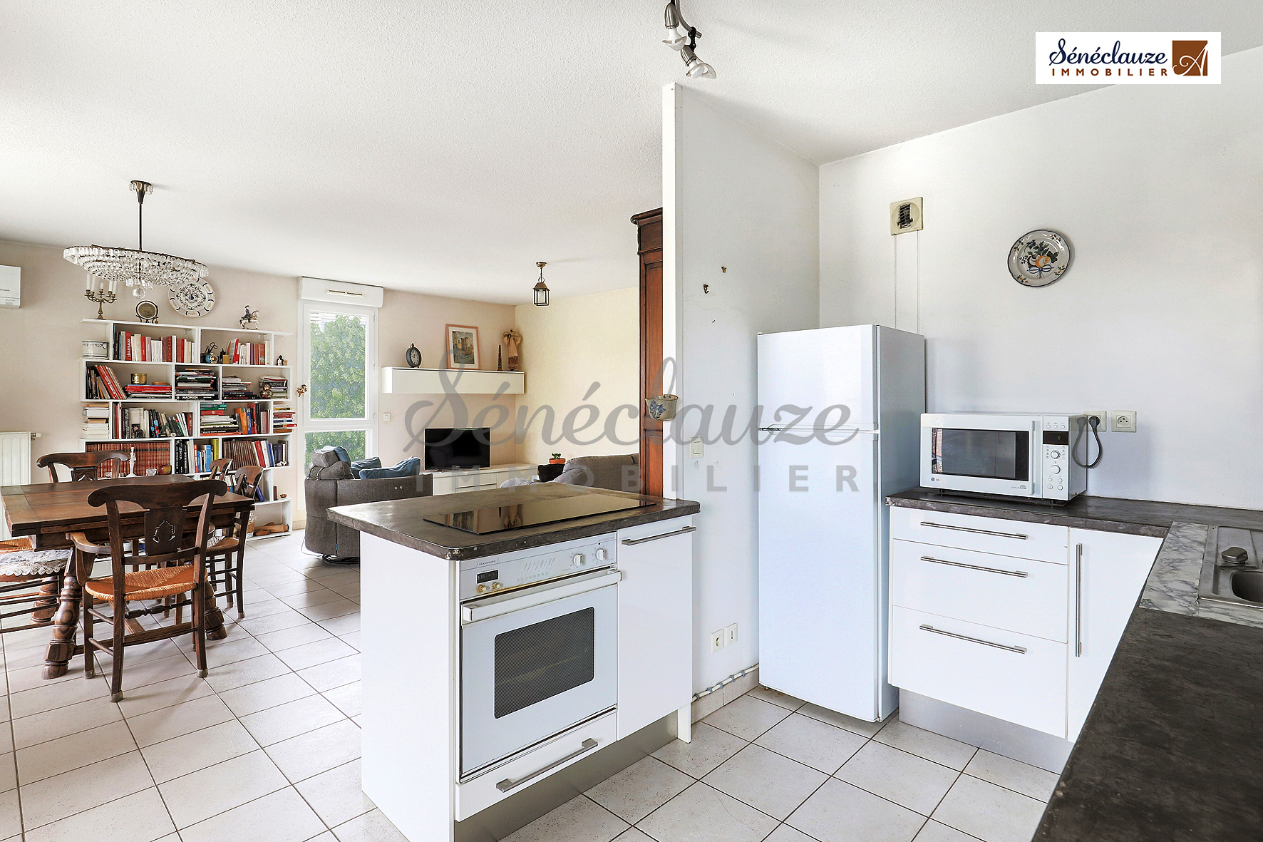Sénéclauze Immobilier appartement Vienne