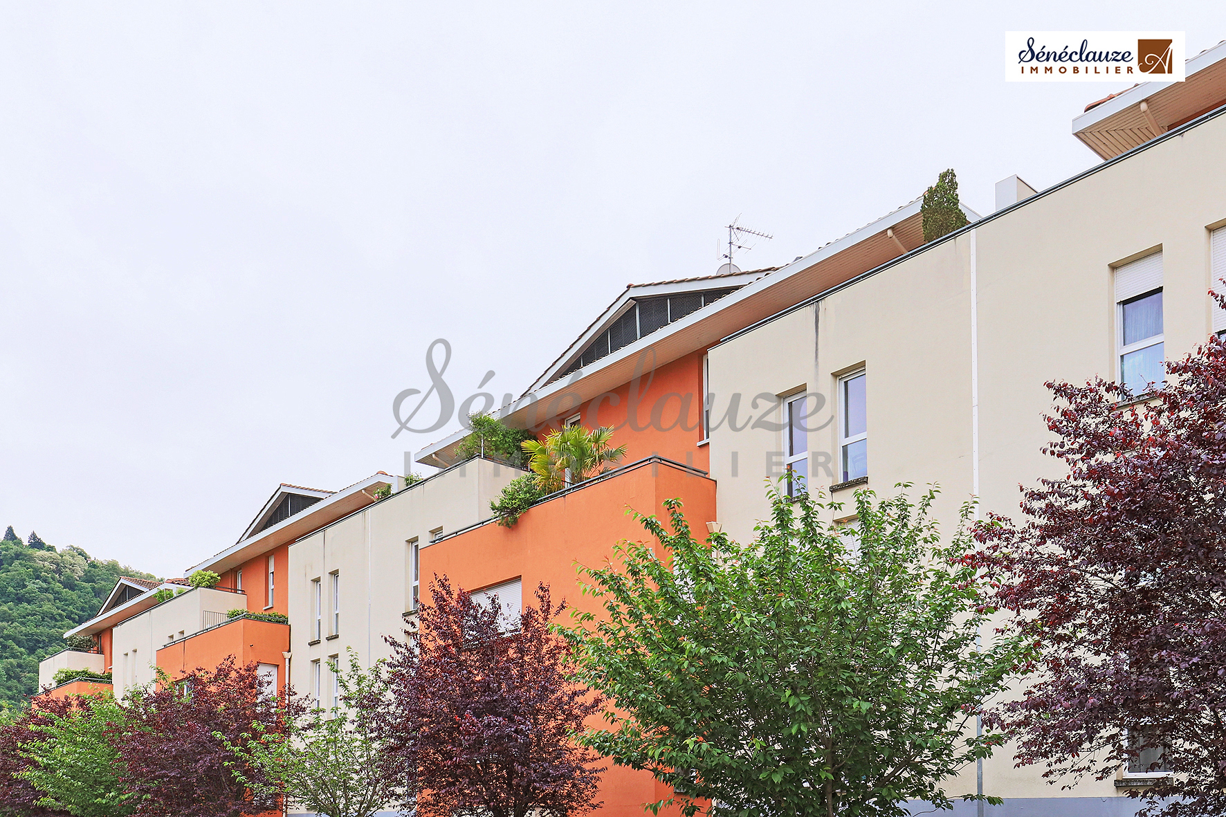 Sénéclauze Immobilier appartement Vienne