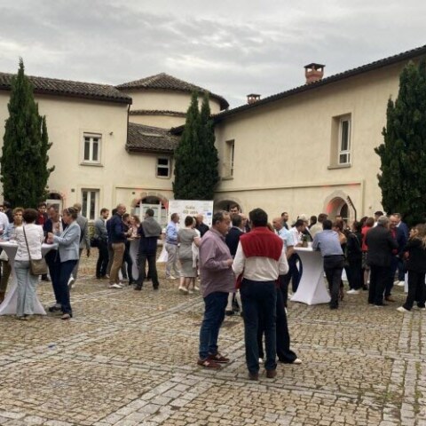 Image Not Found On Media Library