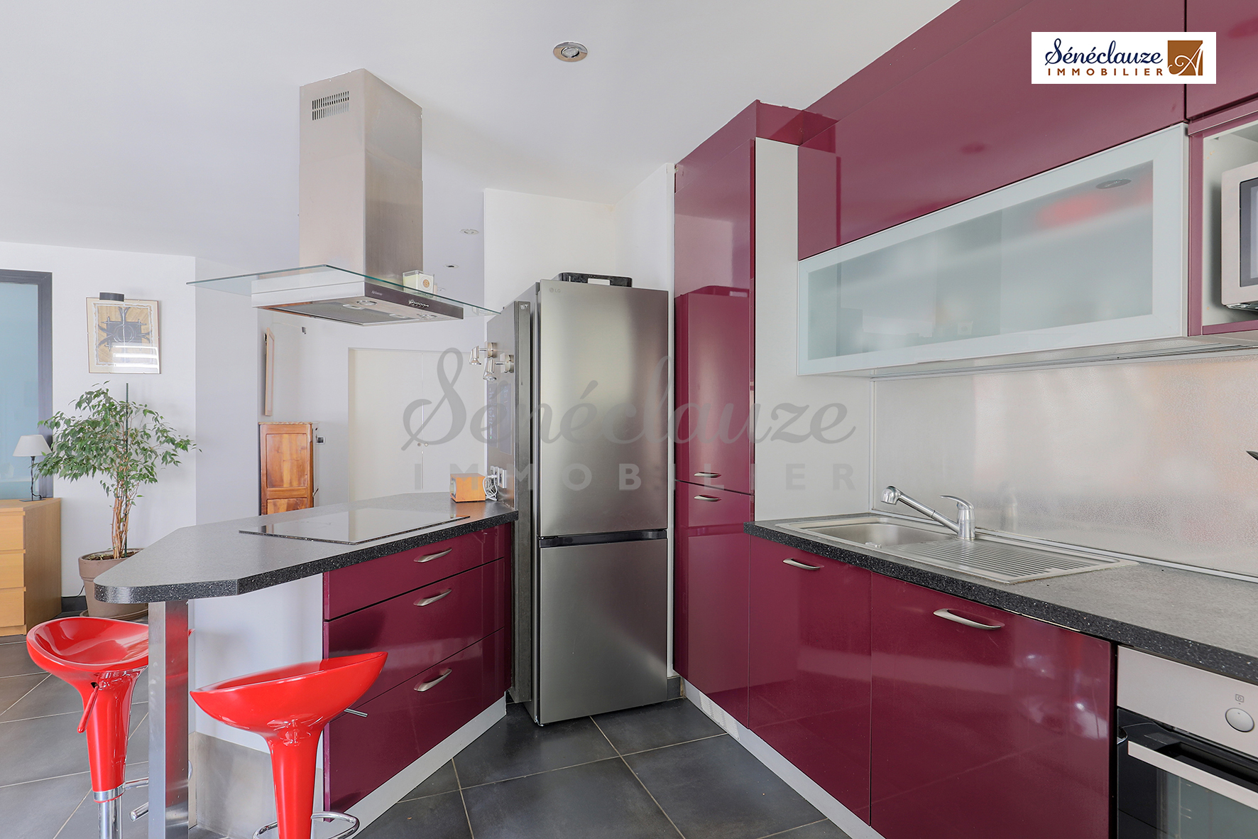 Sénéclauze Immobilier appartement Oullins Fouchez